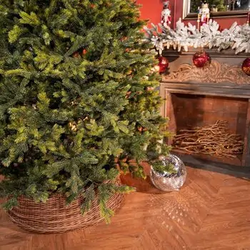 Holandiia Christmas Tree With Olive Tips PE 250 CM საახალწლო ნაძვის ხე, 100% სილიკონი, 4 image