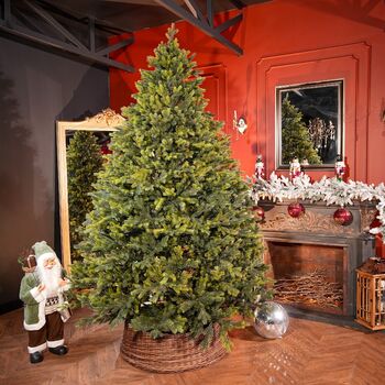 Holandiia Christmas Tree With Olive Tips PE 250 CM საახალწლო ნაძვის ხე, 100% სილიკონი