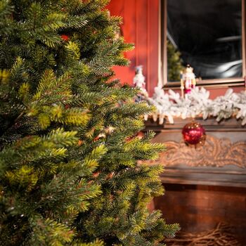 Holandiia Christmas Tree With Olive Tips PE 250 CM საახალწლო ნაძვის ხე, 100% სილიკონი, 6 image