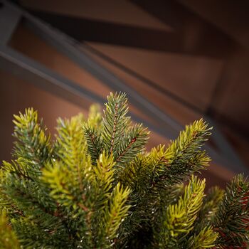 Holandiia Christmas Tree With Olive Tips PE 250 CM საახალწლო ნაძვის ხე, 100% სილიკონი, 13 image