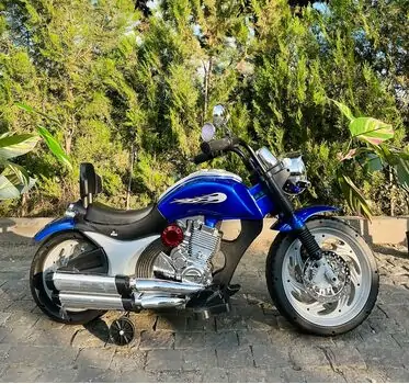 Electric Moto Harley Painted Blue - ელექტრო მოტოციკლი, 4 image