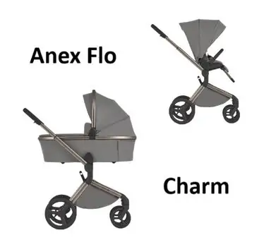 Anex Flo 2x1 Charm საბავშვო ეტლის კომპლექტი