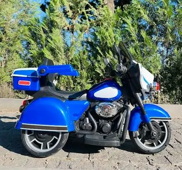 Police Electric Moto Blue - ელექტრო მოტოციკლი, 4 image