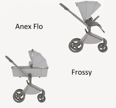 Anex Flo 2x1 Frossy საბავშვო ეტლის კომპლექტი