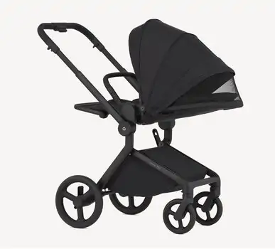 Anex Flo 2x1 Lungo - საბავშვო ეტლის კომპლექტი, 15 image