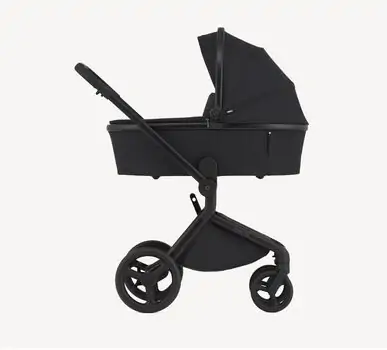 Anex Flo 2x1 Lungo - საბავშვო ეტლის კომპლექტი, 2 image