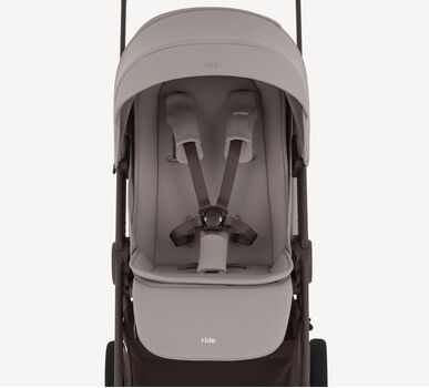 Anex Ride Chrome - საბავშვო ეტლი, 6 image