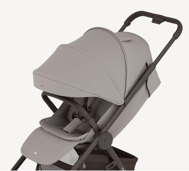 Anex Ride Chrome - საბავშვო ეტლი, 10 image