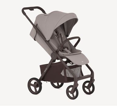 Anex Ride Chrome - საბავშვო ეტლი, 5 image