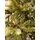 Christmas Tree With Pine Cones And Berries საახალწლო ნაძვის ხე დათოვლილი ბოლოებით, კენკრით და გირჩით 180 სმ (OT640), 2 image