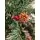 Christmas Tree With Pine Cones And Berries საახალწლო ნაძვის ხე დათოვლილი ბოლოებით, კენკრით და გირჩით 210 სმ (OT648), 2 image