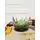 MINI KITCHEN HOME საბავშვო მინი სამზარეულო, 4 image