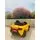Mclaren V6 Yellow - საბავშვო ელექტრო მანქანა, 11 image