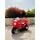 Kids Moto Red - საბავშვო ელექტრო მოტოციკლი, 4 image