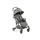 Quatro Rio Grey სასეირნო ეტლი