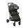 Graco BREAZE LITE COUTURE FERN 2in1 საბავშვო სასეირნო ეტლის კომპლექტი, 2 image