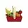 FRUITS AND VEGETABLES RED BASKET JANOD-ის სათამაშო ხილის ნაკრები J06577, 3 image