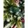 Christmas Tree With Pine Cones And Berries საახალწლო ნაძვის ხე სილიკონის შერეული  წიწვებით, გირჩით და კენკრით 180 სმ (OT2003), 7 image