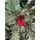 Christmas Tree With Pine Cones And Berries საახალწლო ნაძვის ხე შერეული სილიკონის წიწვებით, გირჩით და კენკრით 210 სმ  (OT005), 2 image