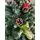Christmas Tree With Pine Cones And Berries  საახალწლო ნაძვის ხე შერეული სილიკონის წიწვებით გირჩით და კენკრით 210 სმ (OT2005), 2 image