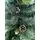 Christmas Tree With Pine Cones საახალწლო ნაძვის ხე შერეული სილიკონის წიწვებით და გირჩით 210 სმ (OT039), 4 image
