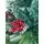 Christmas Tree With Pines Cones And Berries  საახალწლო ნაძვის ხე სილიკონის დათოვლილი ბოლოებით, გირჩით და კენკრით 210 სმ (OT2017), 4 image