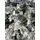 Snow-Covered Christmas Tree დათოვლილი საახალწლო ნაძვის ხე 180 სმ (OT2012), 3 image