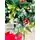 Christmas Tree With Pine Cones And Berries  საახალწლო ნაძვის ხე შერეული წიწვებით გირჩით და კენკრით 240 სმ (OT2004), 13 image