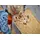 LEGO Jurassic World 76945 Atrociraptor Dinosaur Bike Chase, 10 image