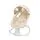 KikkaBoo Swing Winks Beige საბავშვო ელექტრო შეზლონგი
