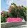 Skateboard Runyi Sport Pink With LED Wheels სკეიტბორდი