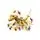 Lego Ninjago 71774 Lloyd’s Golden Ultra Dragon, 4 image