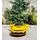 Chevrolet Camaro 2SS Yellow - ელექტრო მანქანა, 3 image