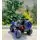 Electric Car Polaris 4X4 Blue - ელექტრო მანქანა ტყავის სავარძლით, 4 image