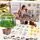 Plant Grow Sun Room - სათამაშო მინი სათბური, 3 image