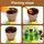 Plant Grow Sun Room - სათამაშო მინი სათბური, 6 image