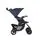 Graco 2x1 Comfy Cruiser Into The Wild ახალშობილის ეტლის კომპლექტი, 2 image