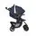 Graco 2x1 Comfy Cruiser Into The Wild ახალშობილის ეტლის კომპლექტი, 6 image