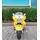 Electric Motorcycle Yellow - ელექტრო მოტოციკლი, 5 image
