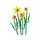 Lego 40747 Daffodils, 3 image