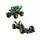 Lego Technic 42149 Monster Jam™ Dragon™, 6 image