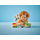 Lego Duplo 10419 Caring for Bees & Beehives, 6 image