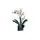 Lego Icons 10311 Orchid, 4 image