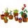 Lego Icons 10329 Tiny Plants, 2 image