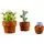 Lego Icons 10329 Tiny Plants, 3 image