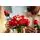 Lego Icons 10328 Bouquet of Roses, 7 image