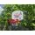 Metal & Plastic Trampoline 366cm 12FT - ბატუტი, 8 image