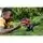 Pyroraptor Interactive Dinosaur, Jurassic World Dominion სათამაშო დინოზავრი, 3 image
