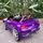 Rolls Royce Electric Car Painted Purple - ელექტრო მანქანა, 5 image