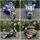 Electric Moto Ducati Painted Grey - ელექტრო მოტოციკლი